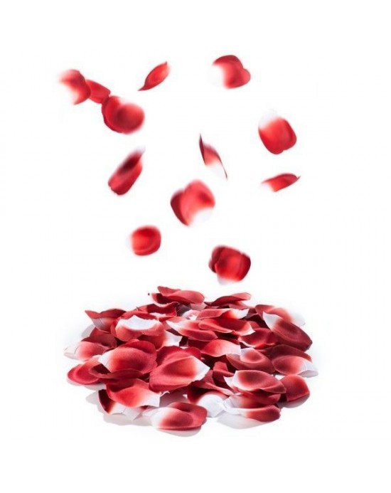 EXPLOSION DE PETALOS DE ROSA