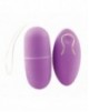 Huevo Vibrador Alice [Lila]