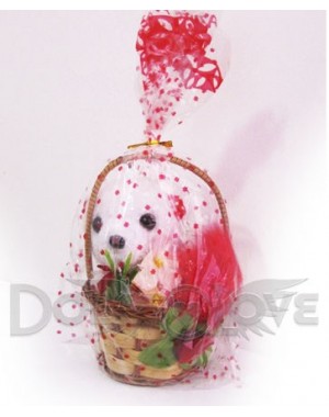 Peluche con tanga Mod. 2